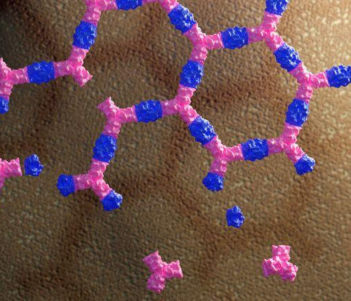 Designer protein patches boost cell signaling