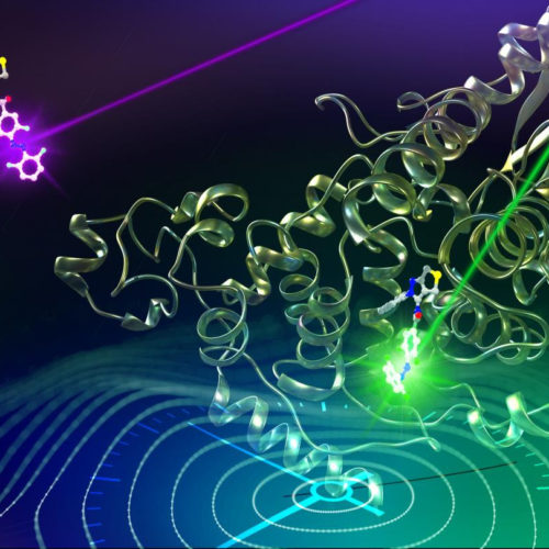 A world first in circadian clock manipulation