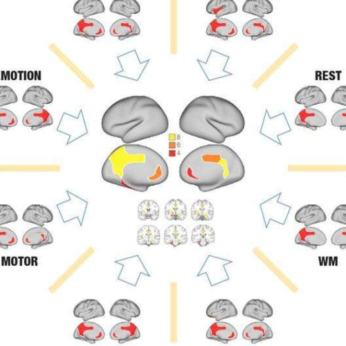 Revisiting the Global Workspace orchestrating the hierarchical organisation of the human brain