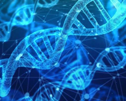 DNA discovery could advance degenerative disease treatments