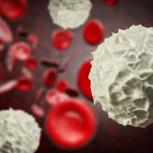 Designer DNA molecule helps hunt down cancer stem cells in blood