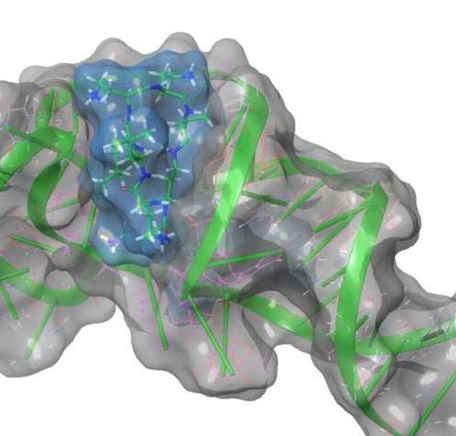 Researchers ID potential target for anti-viral drugs to battle COVID-19