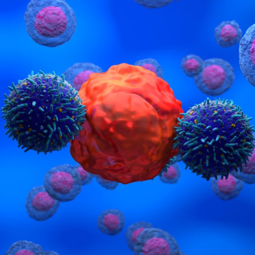 Reviving exhausted T cells gets them back in the fight against cancer