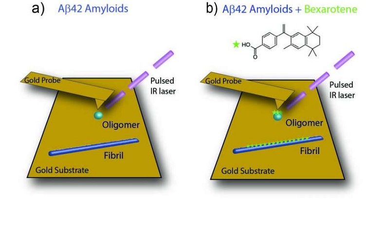 New approach demonstrates at single-molecule scale how a drug interacts with Alzheimer’s peptide aggregates