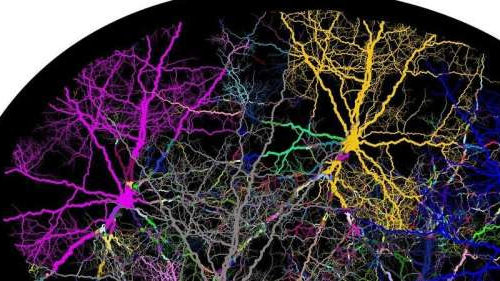 Superstructures formed by ‘walking’ molecules could help create neurons for regenerative medicine
