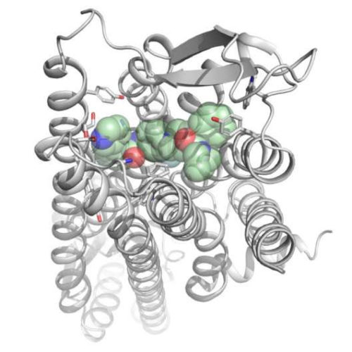 Tailor-made drugs to treat epilepsy or cardiovascular diseases