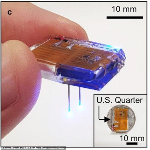 Researchers believe the chips could be used to treat a range of neurological conditions in humans, including Parkinson’s and depression