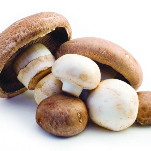 Just add mushrooms: Making meals more nutritious