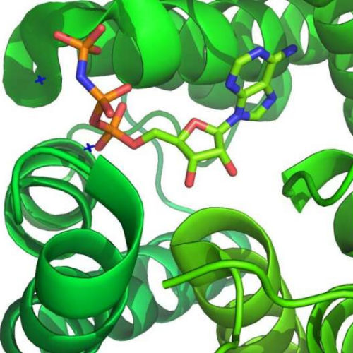 Retooling small molecule kinase inhibitors for SARS-CoV-2