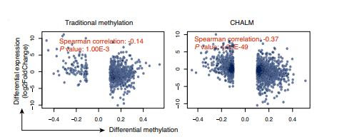 New study points to better diagnostics for cancer