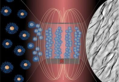 Scientists create flexible biocompatible cilia that can be controlled by a magnet