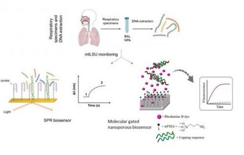 Biosensors to detect P. jirovecii, responsible for Pneumocystis pneumonia