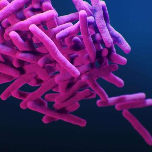 New tuberculosis drug regimen slashes treatment time