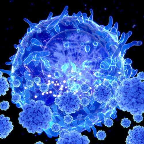 How ‘killer’ T cells could boost COVID immunity in face of new variants