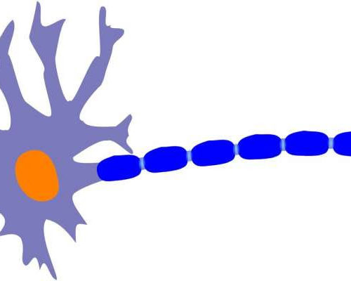ALS neuron damage reversed with new compound