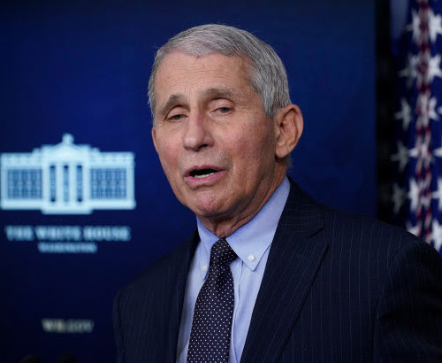 Fauci says 20K pregnant women got COVID-19 vaccine with ‘no red flags’