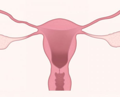 New study discovers possible early detection method for elusive ovarian cancer