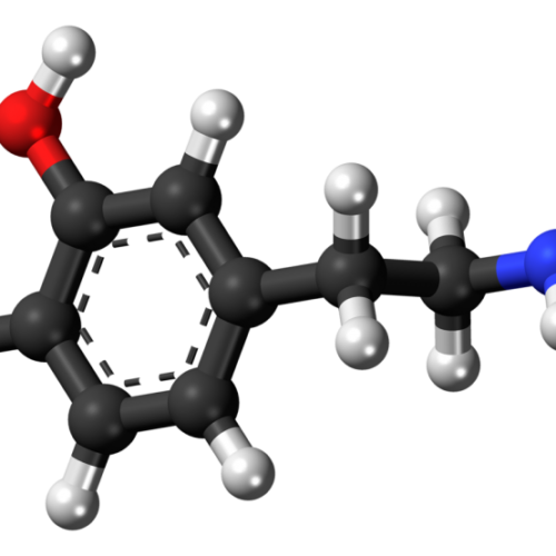 Dopamine is key to the mystery of metabolic dysfunction in psychiatric patients