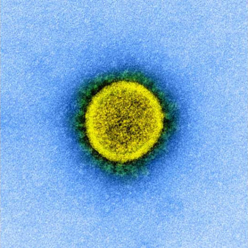 Remdesivir disrupts COVID-19 virus better than other similar drugs: study