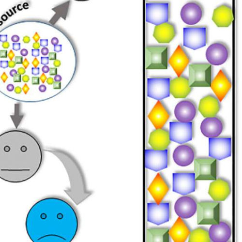 Winner-takes-all synthetic gene circuit process opens new pathways to disease treatment