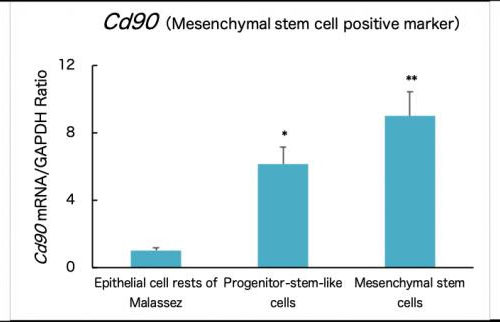 Direct reprogramming of oral epithelial cells into mesenchymal-like cells