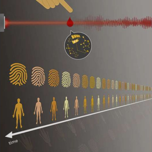 Innovative blood test based on infrared light