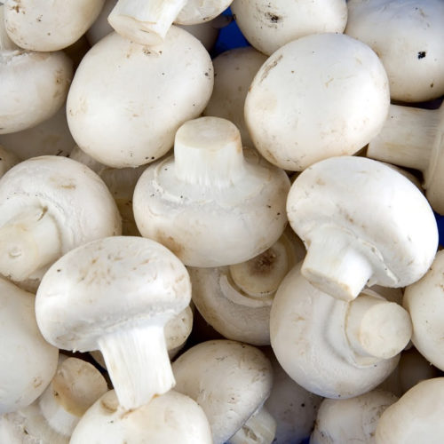 White button mushroom extract suppresses prostate cancer growth in mice