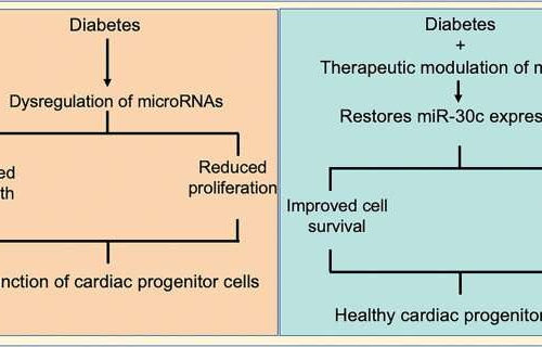 Discovery for treatment of heart disease in type-2 diabetics