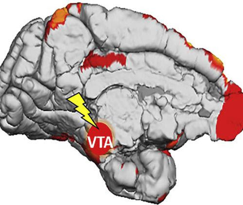 Researchers discover how the brain learns from subconscious stimuli