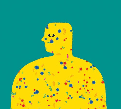 The skin microbiome