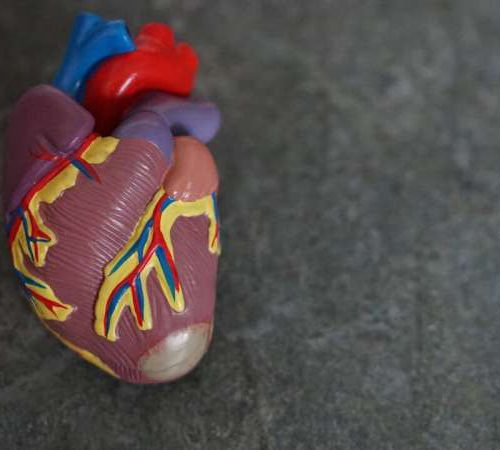 Give the heart a ketone? It may be beneficial