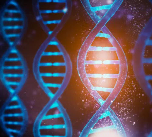 NVIDIA and Harvard researchers use AI to make genome analysis faster and cheaper