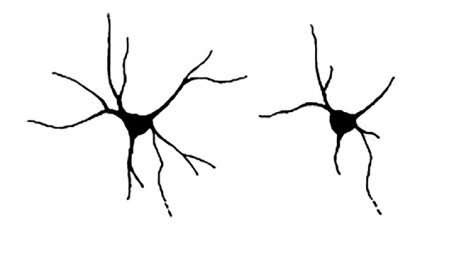 Mutations in the neurochondrin gene linked to epilepsy