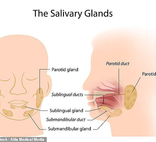 More bad news for Covid-19 sufferers: Almost HALF of patients experience painful swollen salivary glands after infection, study warns