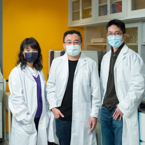 HKBU develops dual-targeting drug for EBV-related cancers