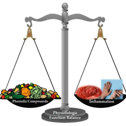 Dietary phenolic compounds have an impact on noncommunicable diseases