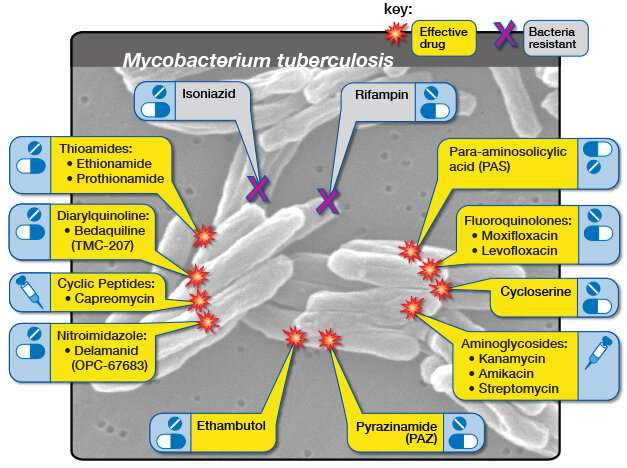 Binding iron improves the effect of the anti-tuberculosis drug Bedaquiline