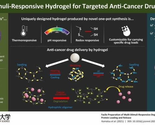 Novel “Hydrogel” Carriers for Anti-Cancer Drugs Offer New Hope for Cancer Treatment!