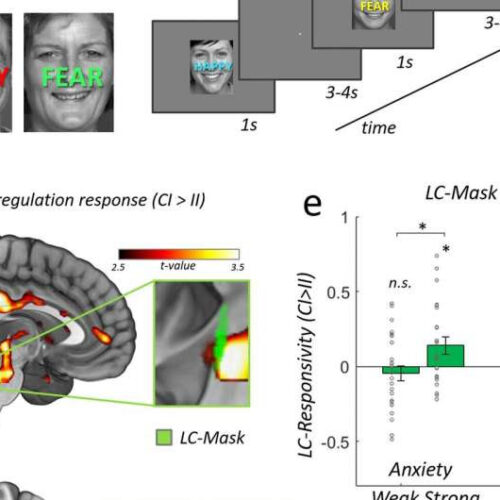 Researchers find new measure to predict stress resilience