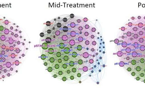 Chronic viral infections can have lasting effects on human immunity, similar to aging