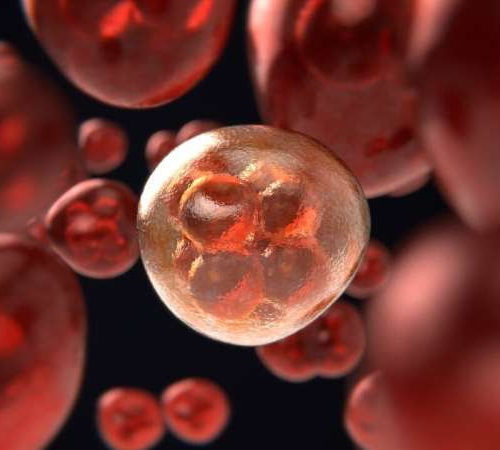 High thrombotic risk in cancer patients receiving immunotherapy