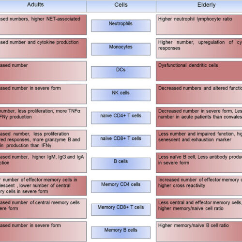 Deadly COVID-19 among the elderly: Innate immune memory helping those most in need