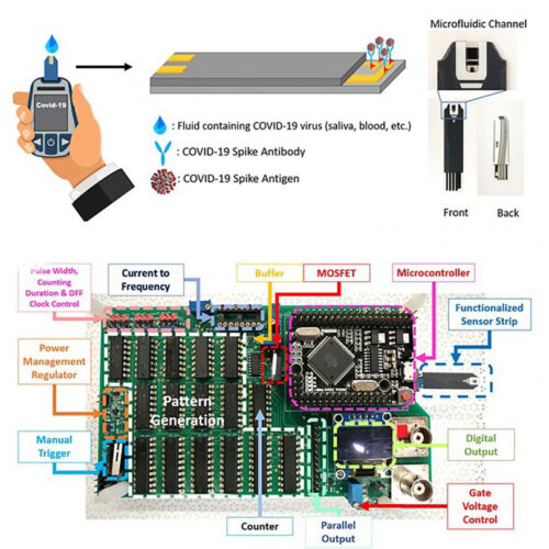 COVID-19 testing method gives results within one second