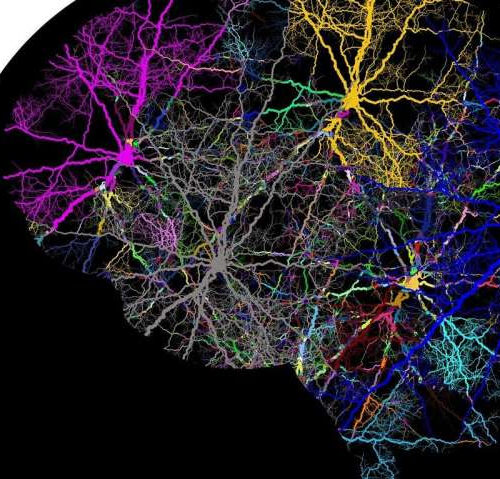 Neutrons show a connection between lithium concentration and depression