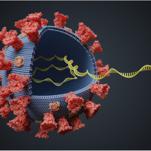 Researchers show SARS-CoV-2 genes can be integrated into the human genome