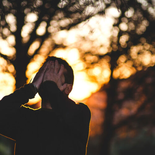 Israeli scientists find natural food supplement that could treat anxiety