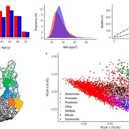 Researchers discover a gut microbiota profile that can predict mortality