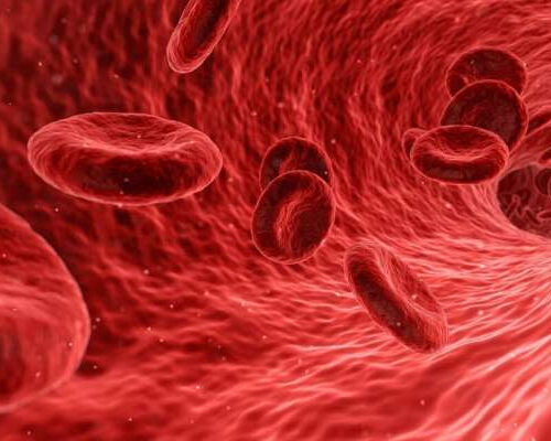 Scientists’ discovery of blood clotting mechanism could lead to new antithrombotic drugs