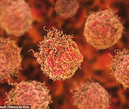 Have scientists found the key to beating prostate cancer? ‘Miracle’ immunotherapy trial targets protein that allows tumours to flourish