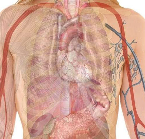 New clinical practice guideline on community acquired pneumonia